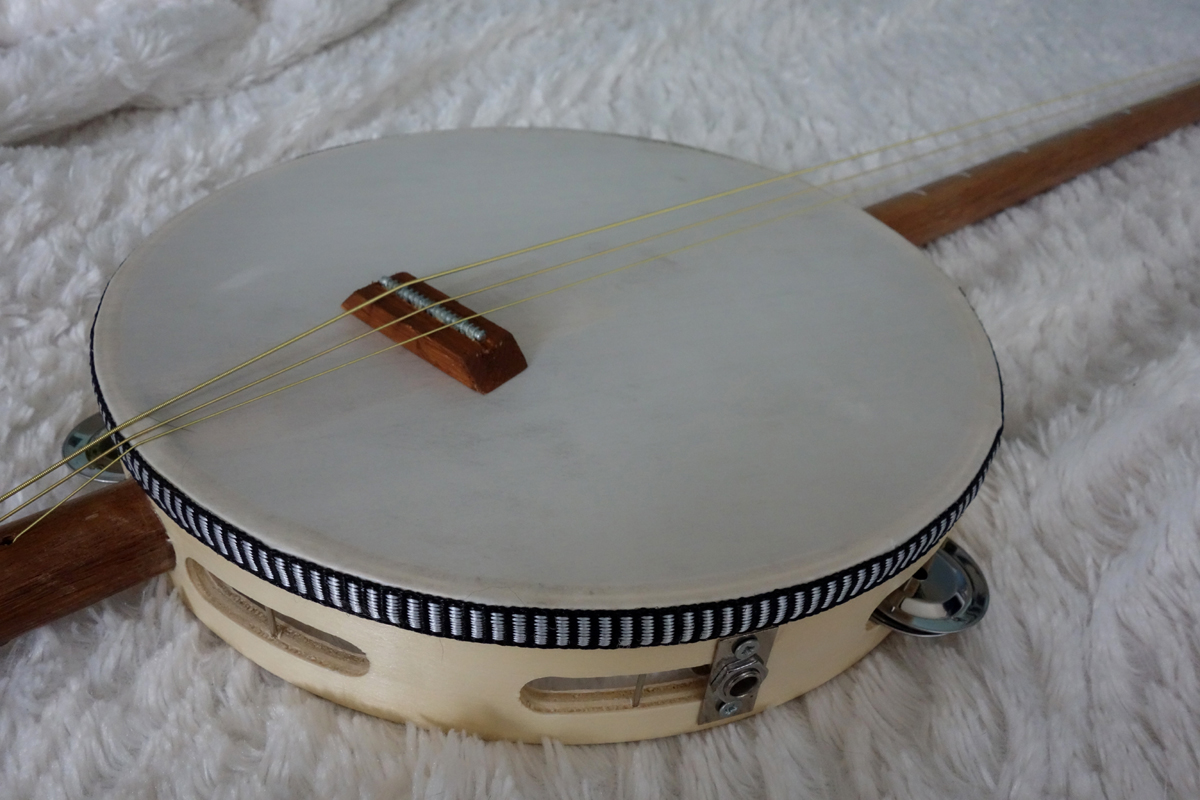 Tambourine Guitar